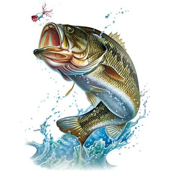 Рыбалка клипарт