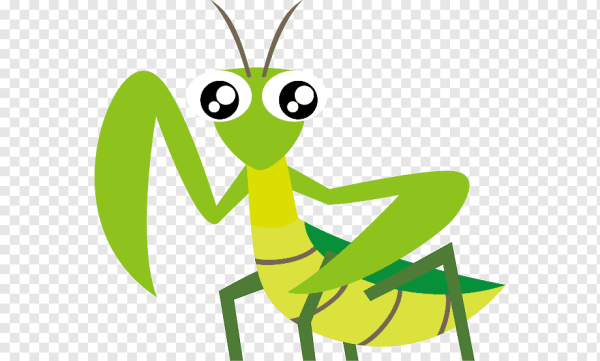 Богомол эскиз