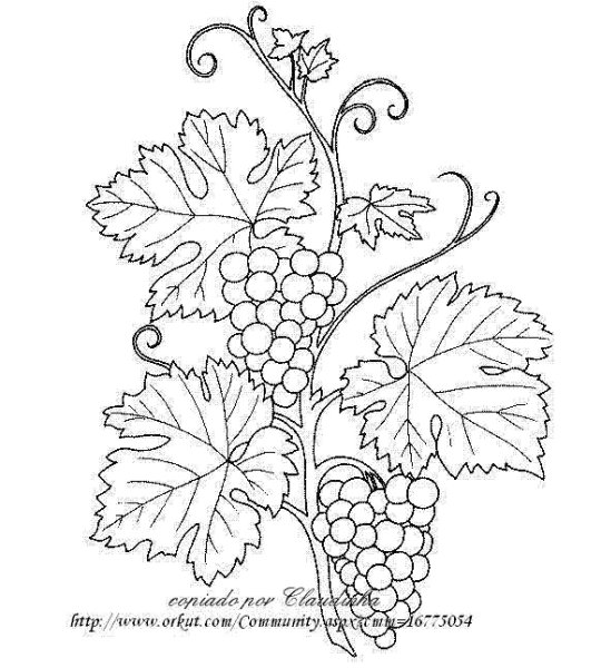 Трафарет Виноградная лоза