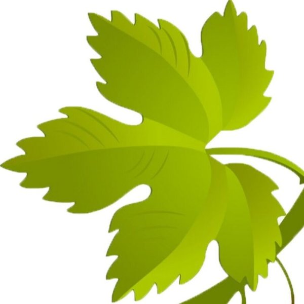 Лист винограда для детей