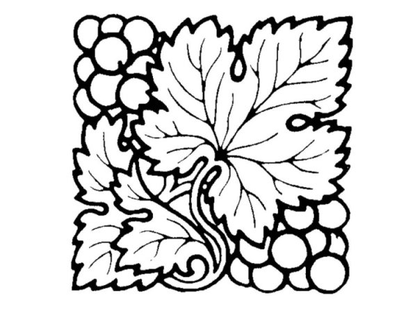 Виноградная лоза орнамент