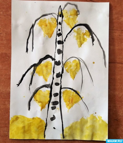 Береза дерево листья плоды