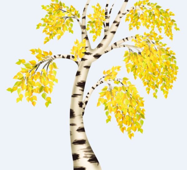 Картина Березки Головин