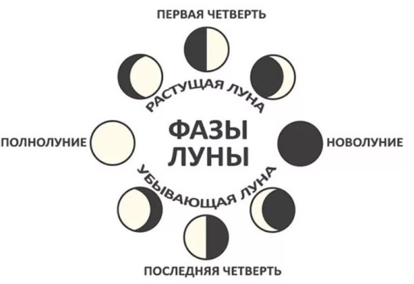 Фазы Луны в картинках 4 фазы