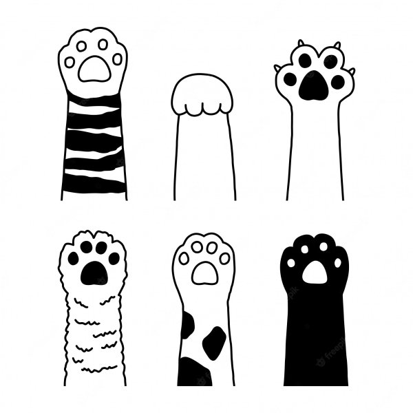 Кошачья лапка вектор