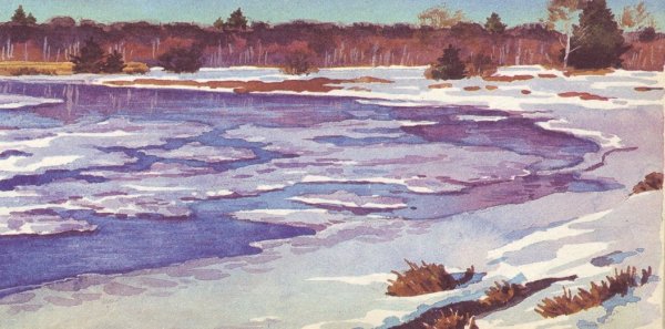 Жуковский Станислав ледоход