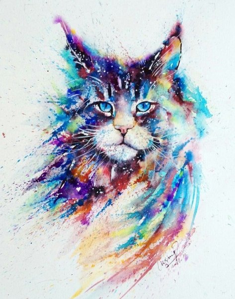 Мейн кун акварель