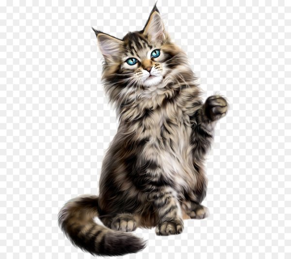 Мейнкун кот