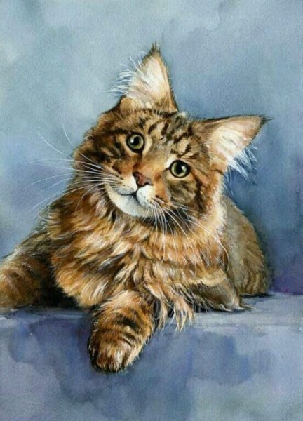 Мейн кун живопись