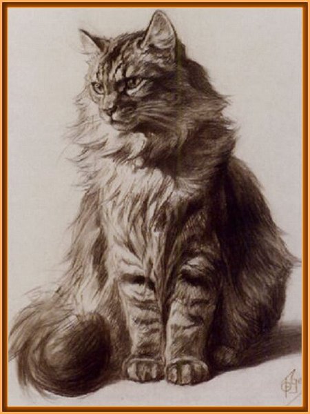 Кошка карандашом