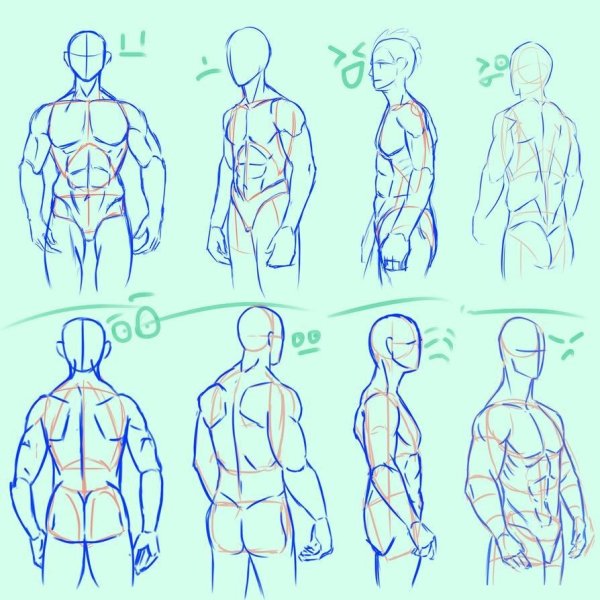 Человек сзади в 3/4 референс