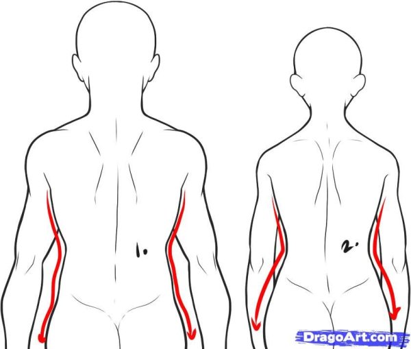 Спина сзади референс