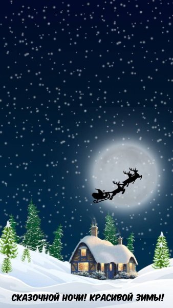 Рождественская ночь