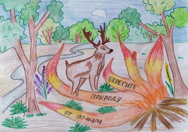 Защитим природу вместе