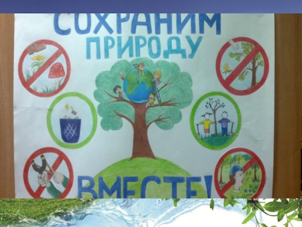 Плакат о сохранении природы