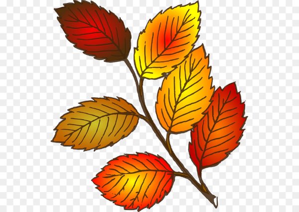 Рисунки осенних листьев