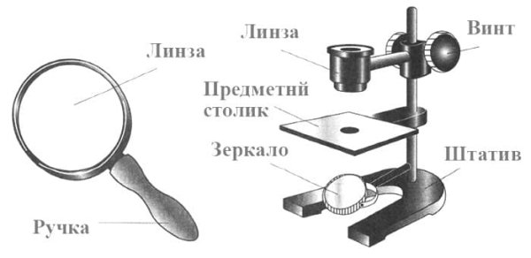 Штативная лупа строение