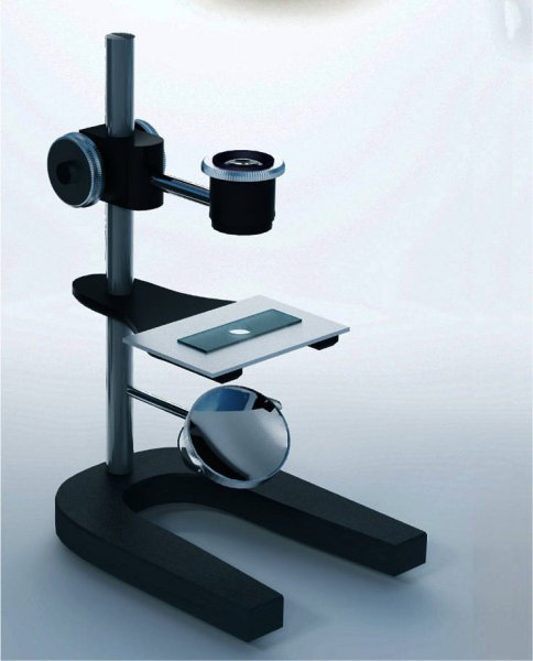 Штативная лупа строение 5 класс биология