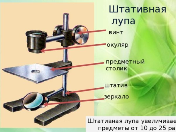 Штативная лупа строение 5