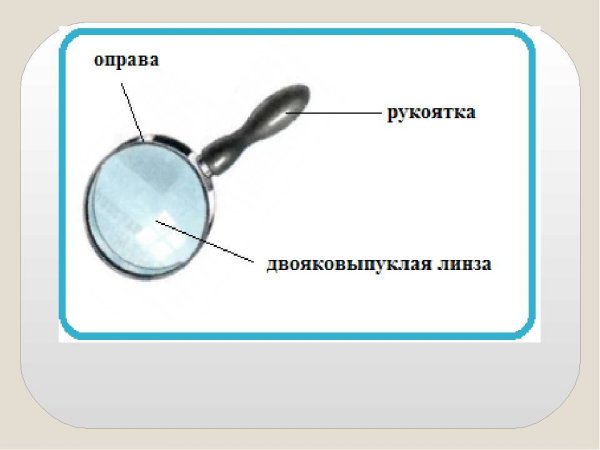 Биология 5 класс лупа, штативная лупа, микроскоп