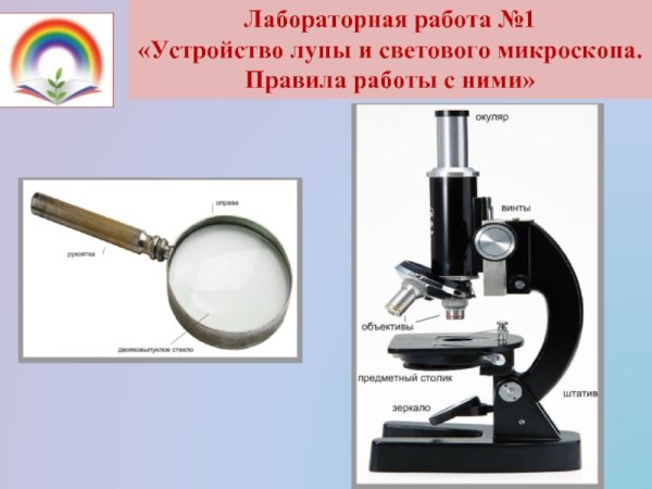 Штативная лупа строение