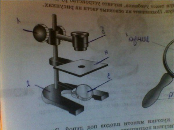 Увеличительные приборы 6 класс биология