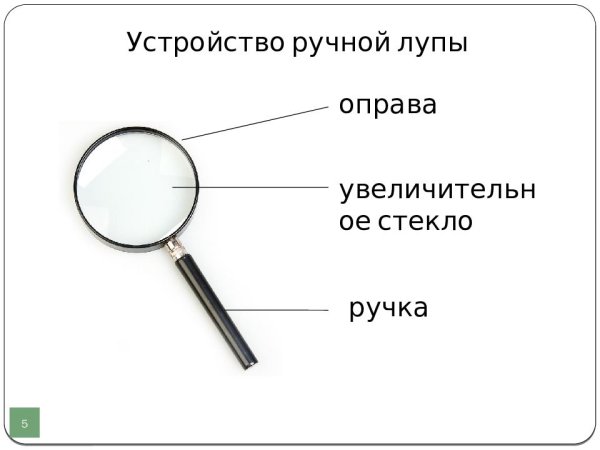 Штативная лупа биологий 5