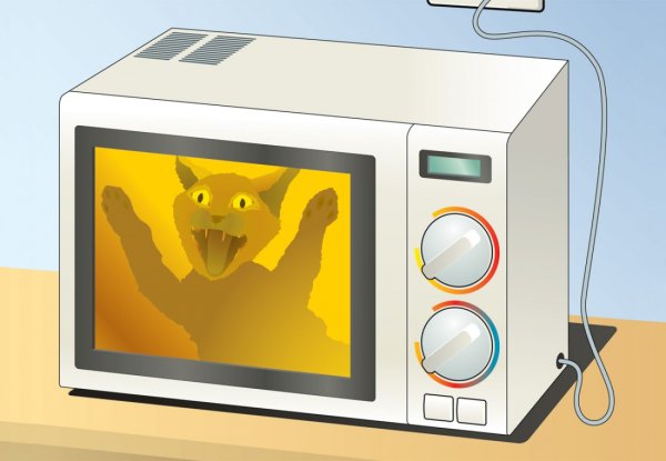 Микроволновая печь раскраска