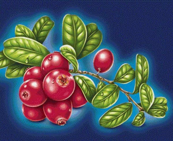 Нарисовать клюкву