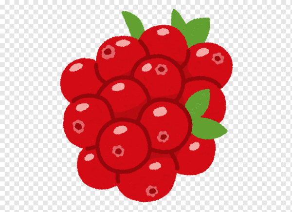 Брусника мультяшная для детей