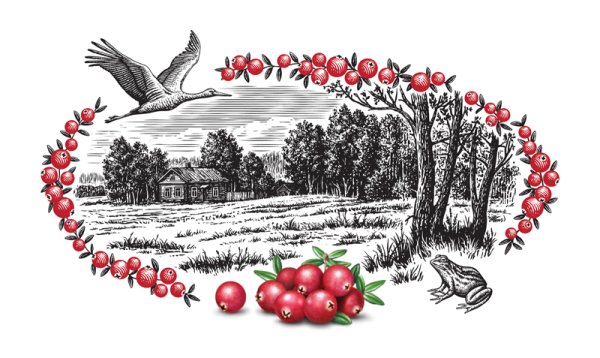 Клюква орнамент