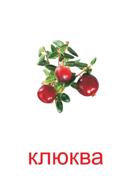 Карточки ягоды для детей