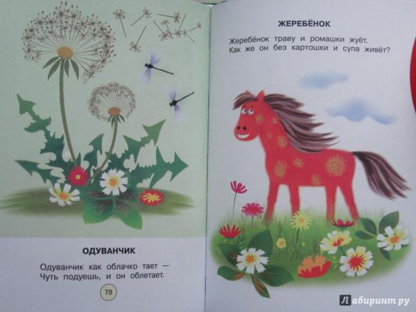 Петр Синявский рисунок