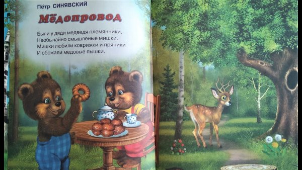 Медопровод Синявский