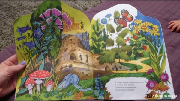 Зеленая аптека книжка Синявский