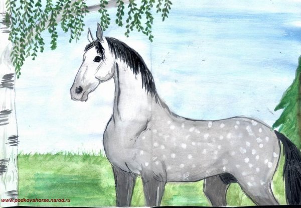 Рисунок на тему лошадь