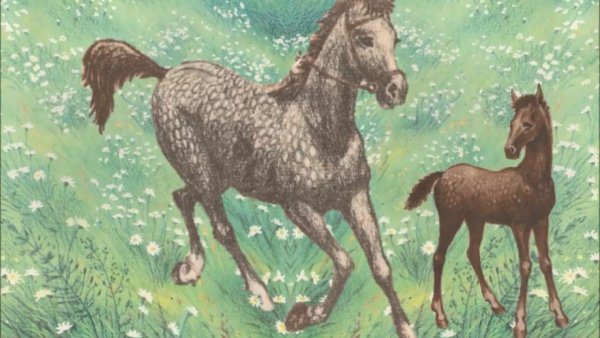 Шаблон бегущей лошади