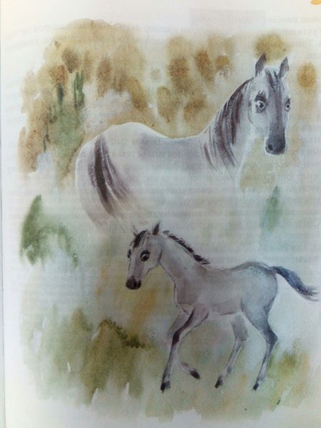 Раскраска. Лошадка