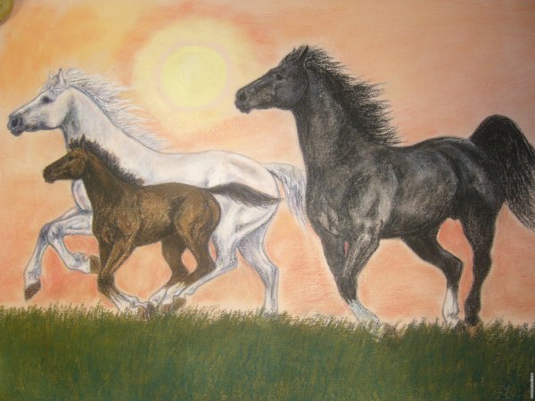 Раскрасим коню хвост