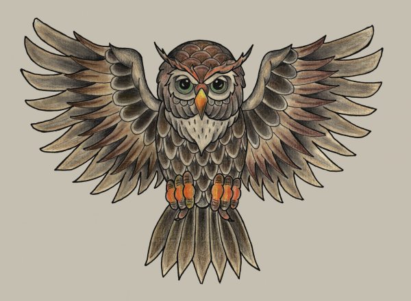 Совы мультяшные