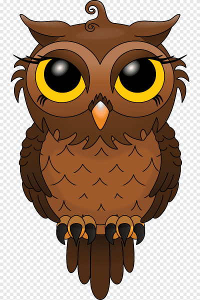 Сова для срисовки