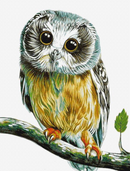 Сова рисунок