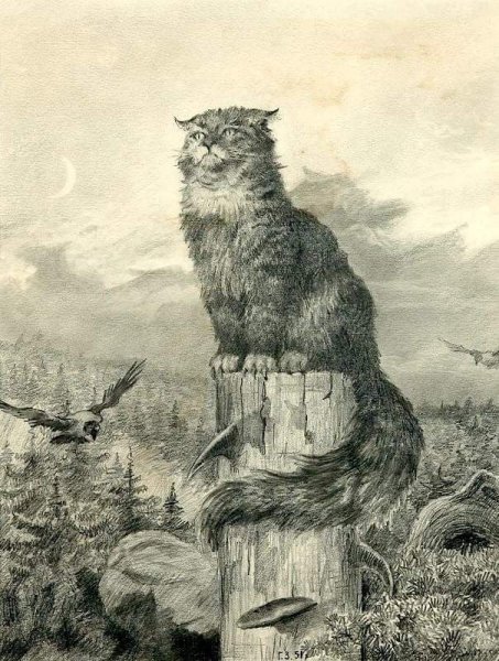 Кот Баюн арт