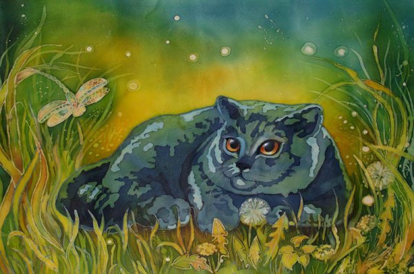 Кот разбойник