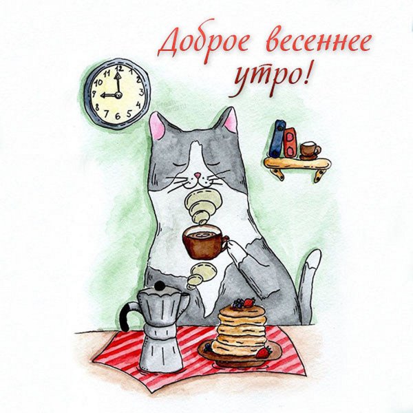 Котик пьет кофе