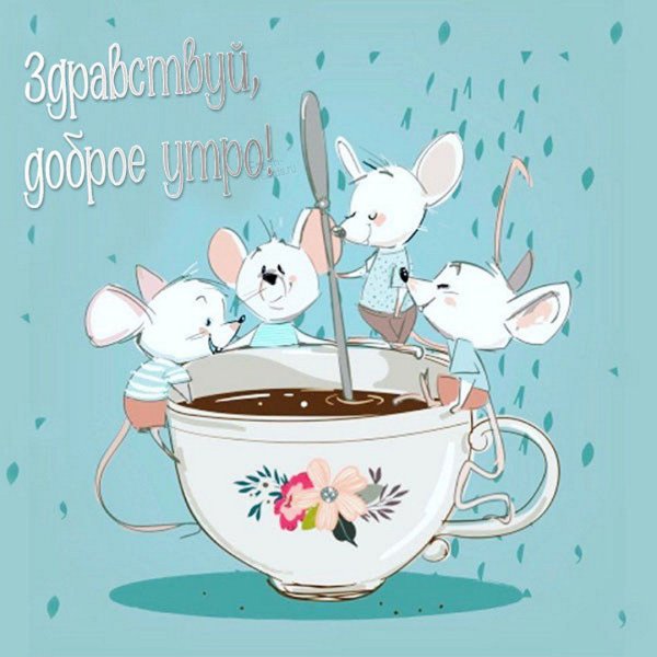 Иллюстратор Elena Barenbaum