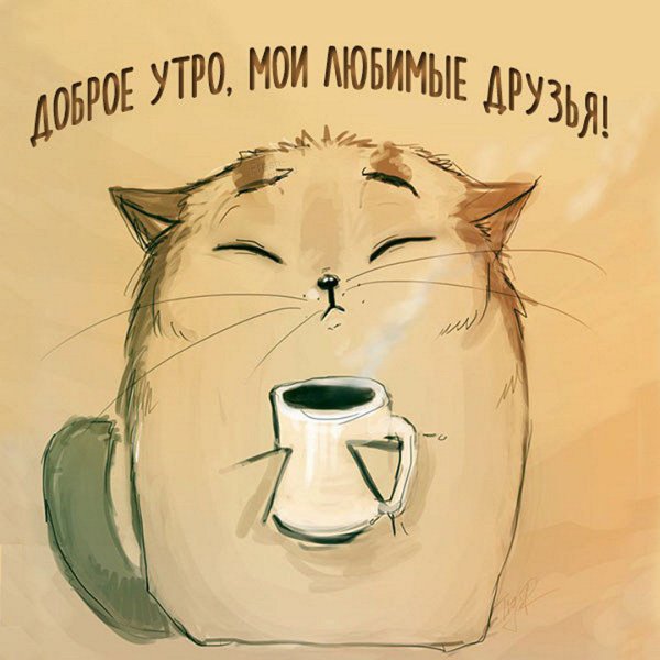 Кот с чашкой чая