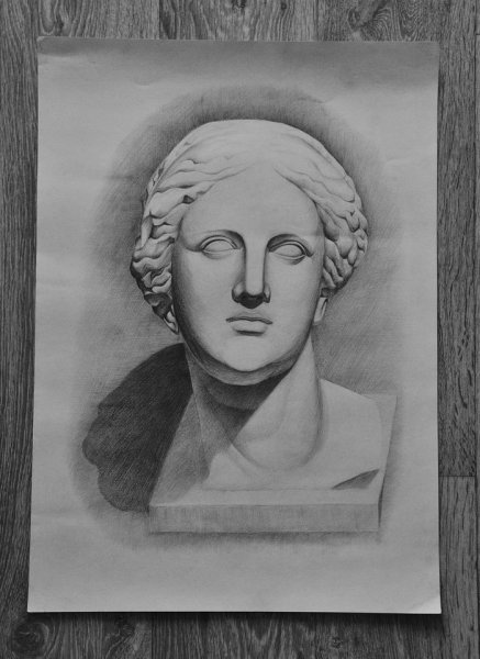 Гипсовая голова Афродиты рисунок