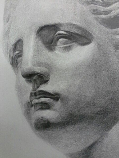 МАРХИ гипсовая голова Венеры