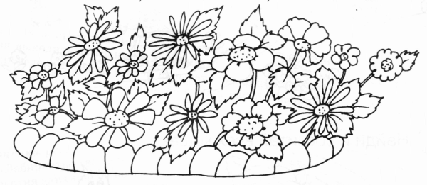 Рисование цветы на клумбе